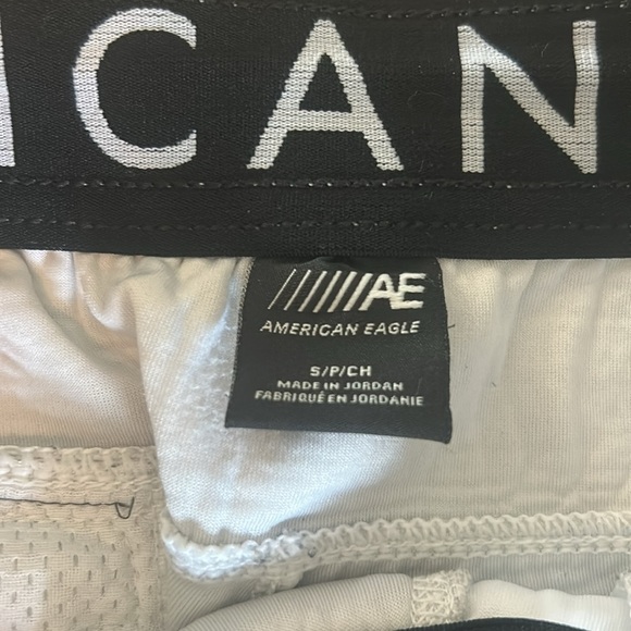 American Eagle Outfitters Men's Gray Shorts - Picture 2 of 6